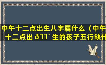 中午十二点出生八字属什么（中午十二点出 🌴 生的孩子五行缺什么）